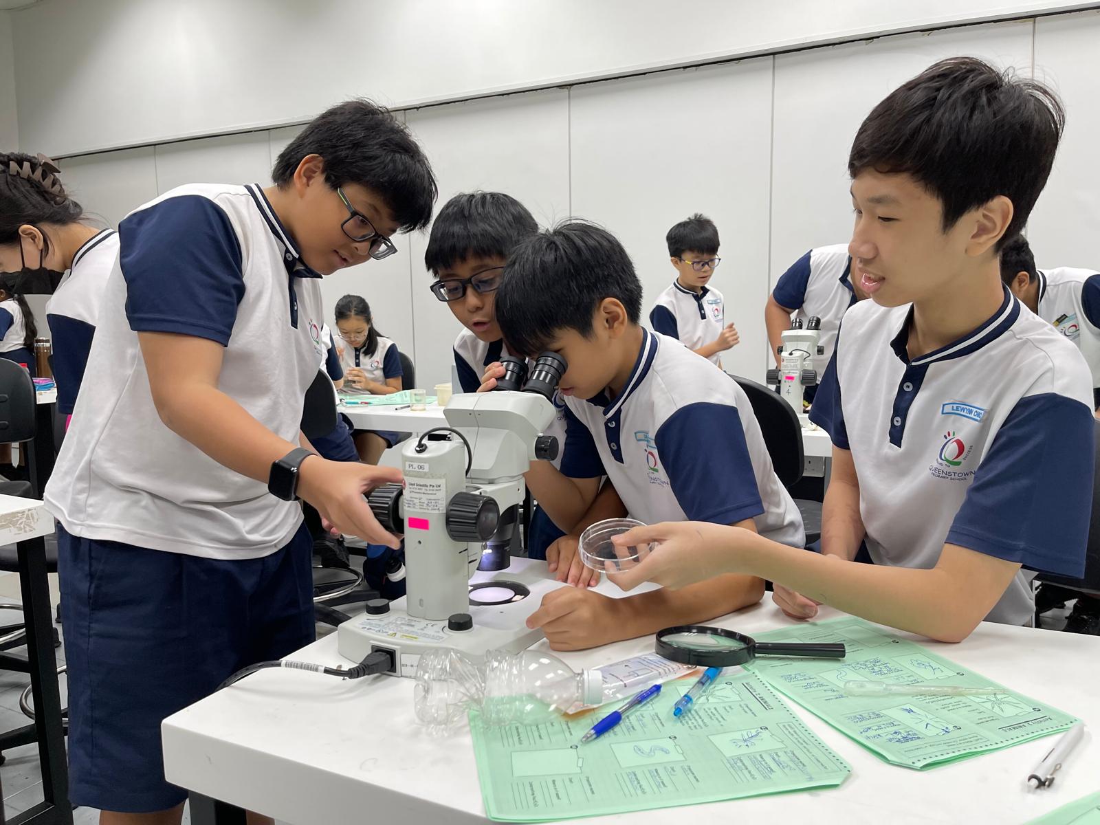 10.	A closer look at nature – exploring microscopic life in action!